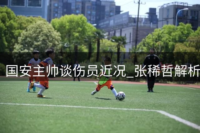 国安主帅谈伤员近况 张稀哲解析队内射手榜竞争