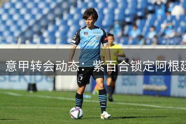意甲转会动态：紫百合锁定阿根廷锋线新星 薪资分歧成谈判关键